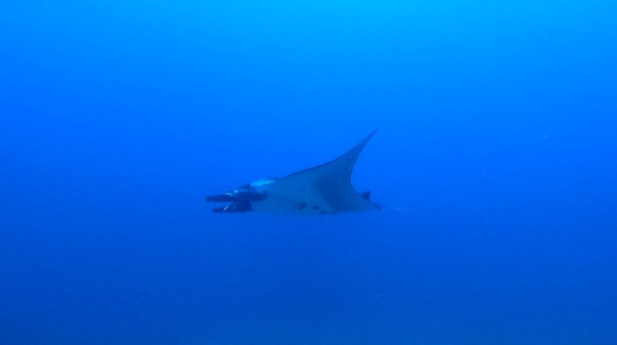 ２０２４年９月