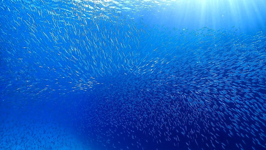 ２０２４年８月