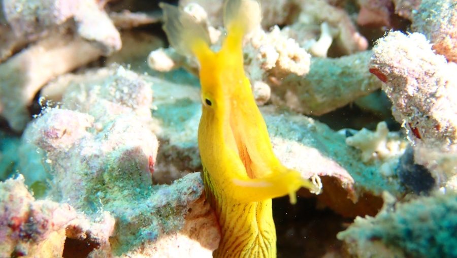 ２０２４年１１月