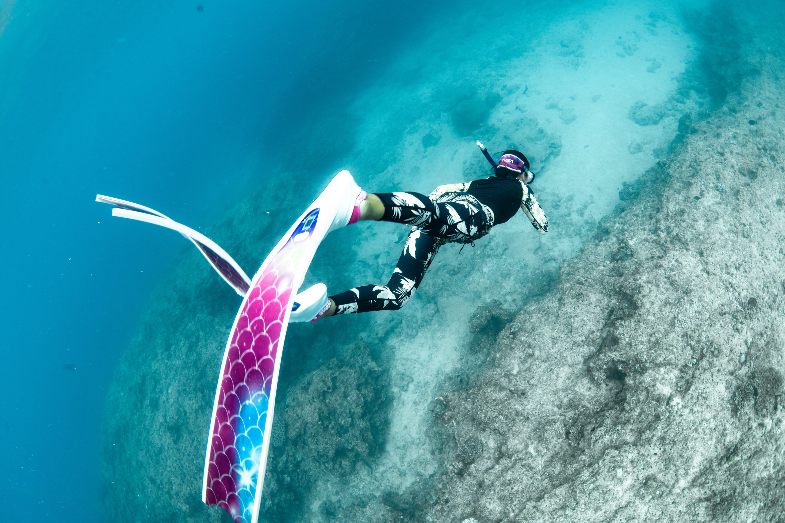 ８月３０日水納島・沖縄本島スキンダイビング