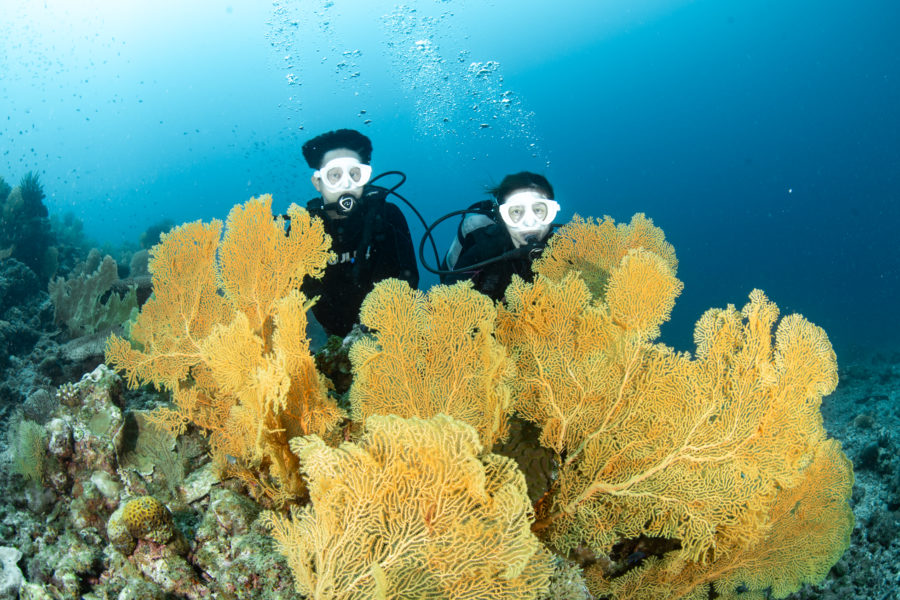 ８月３０日瀬底島ファンダイビング