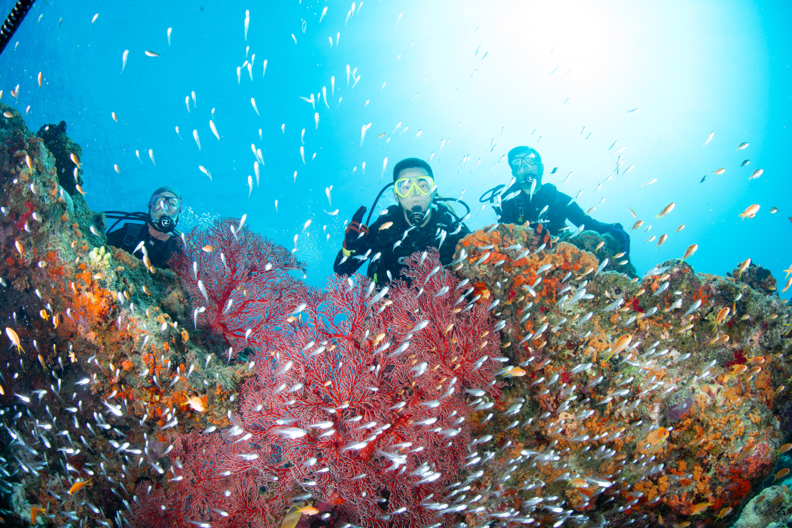 ８月１０日水納島・瀬底島ファンダイビング