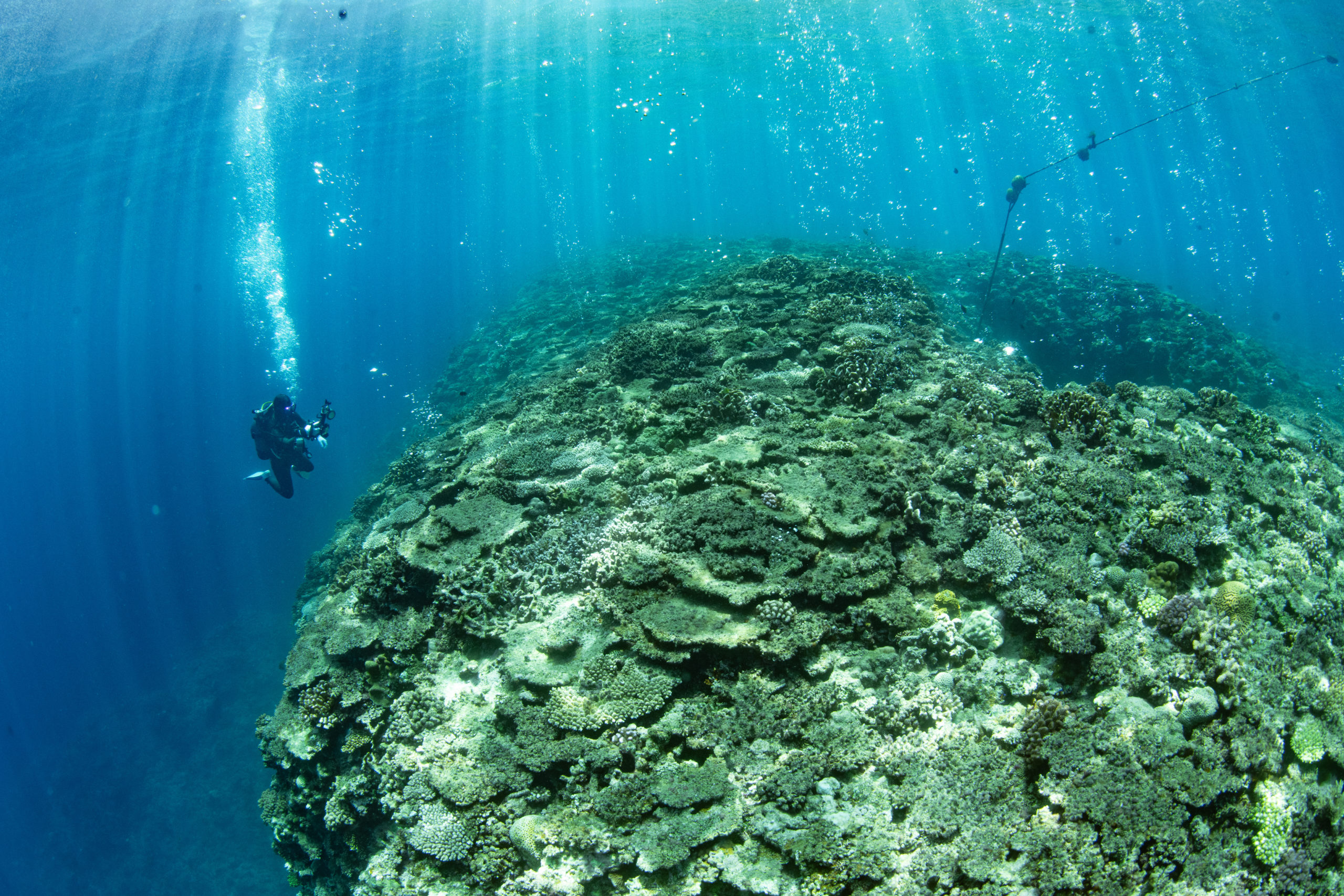 ８月１７日万座ファンダイビング