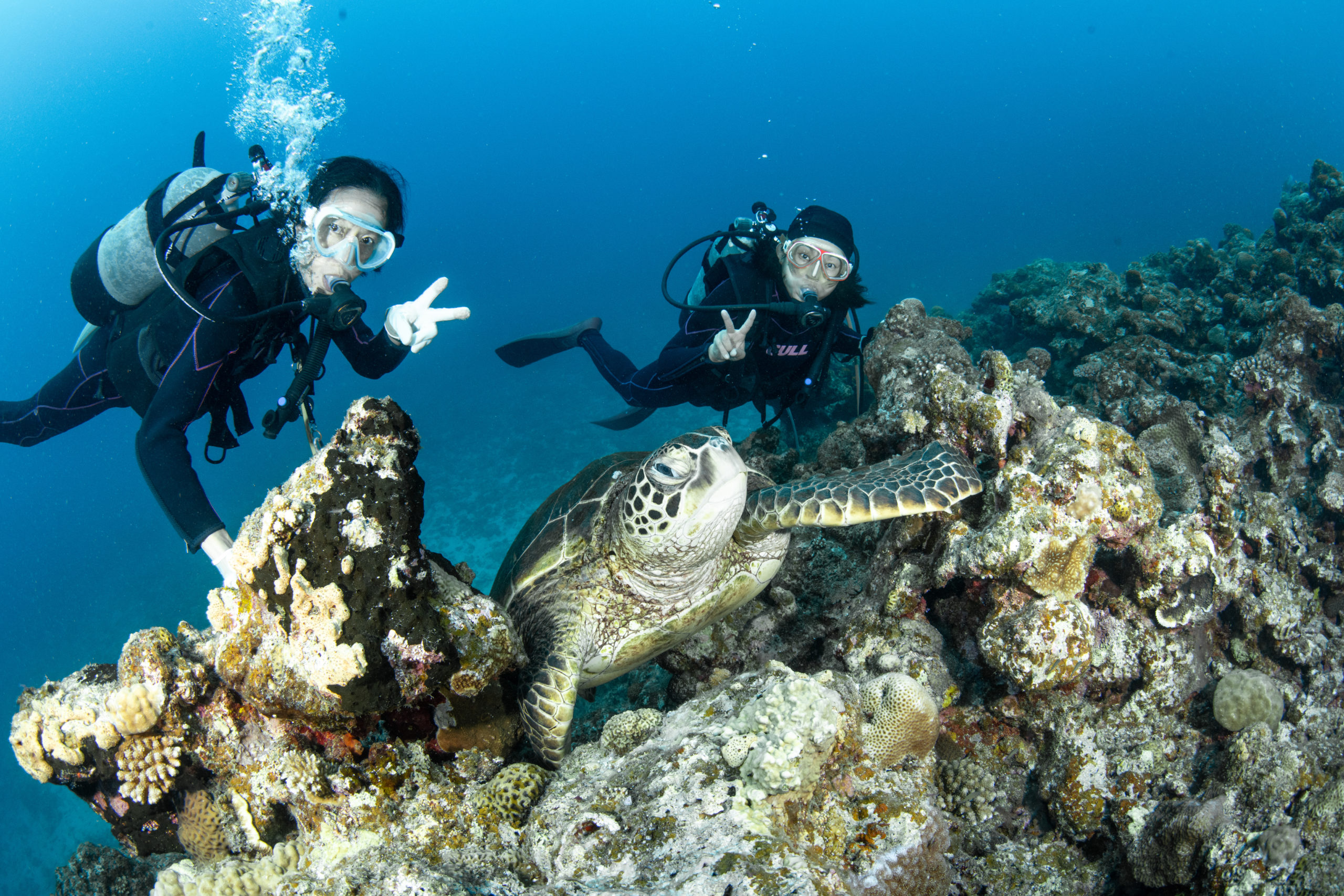 瀬底島・沖縄本島ファンダイビング
