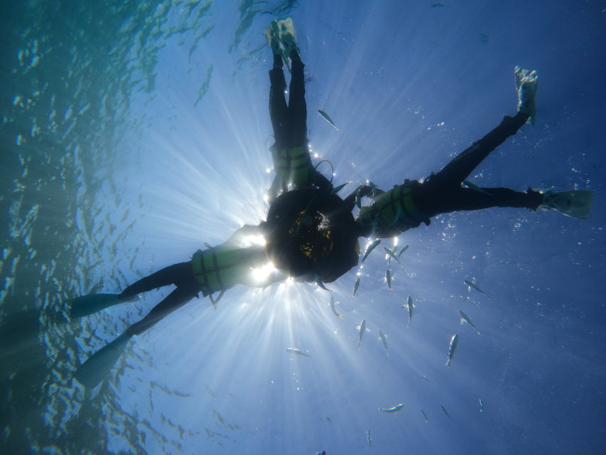 ８月２０日瀬底島シュノーケリング
