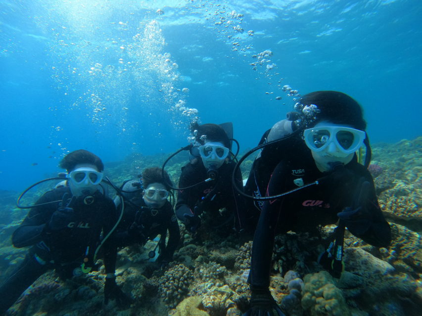 ８月１２日水納島・瀬底島体験ダイビング