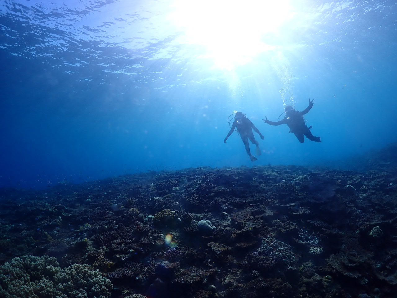 ８月７日　万座ファンダイビング