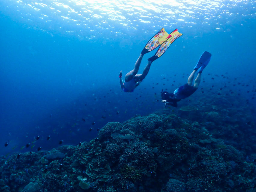 ８月１８日　水納島・瀬底島スキンダイビング