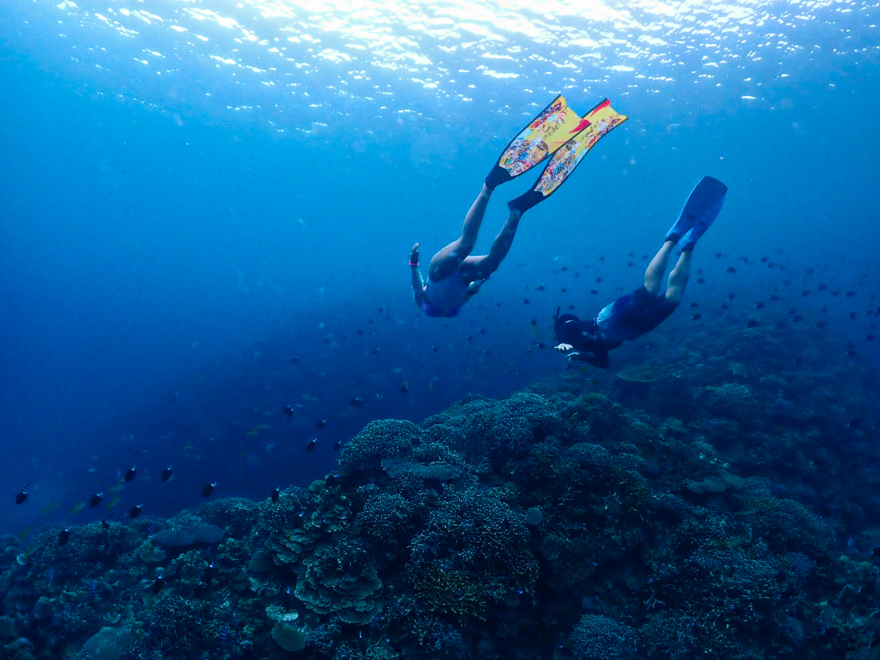 ８月１８日　水納島・瀬底島スキンダイビング