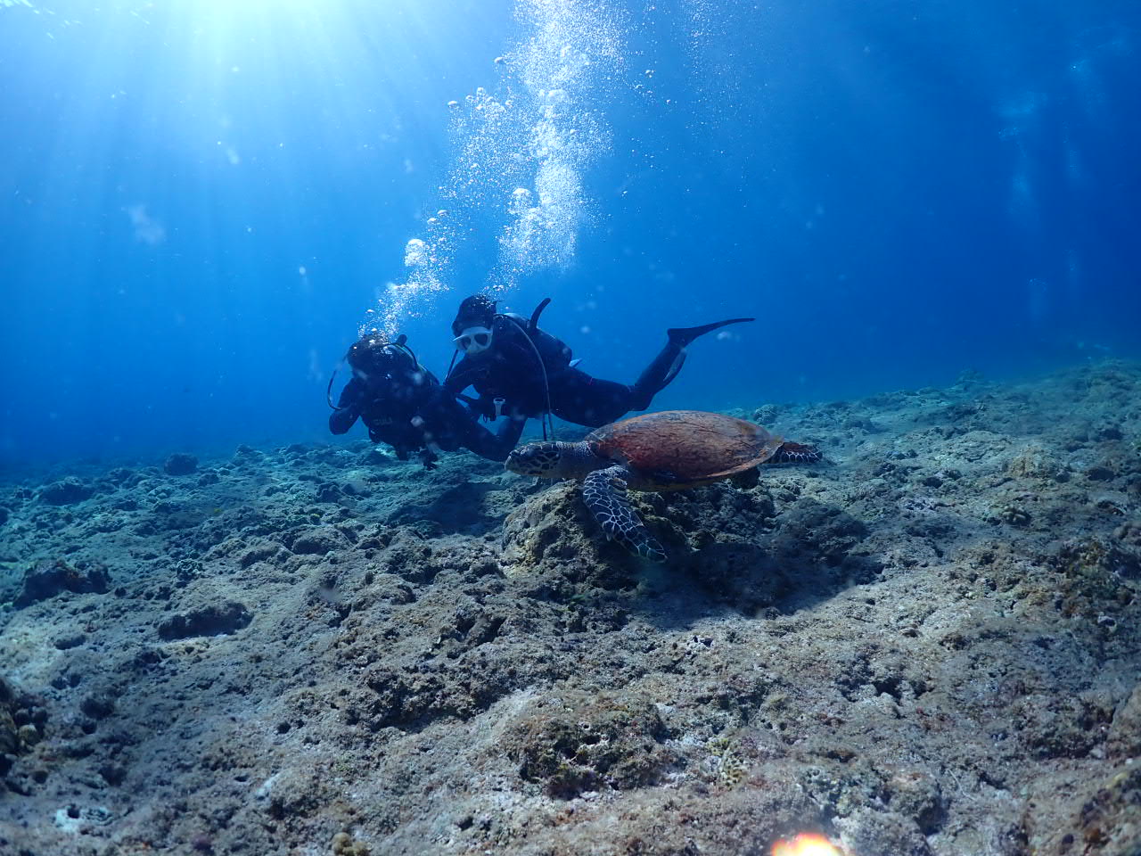 ８月２１日　慶良間ファンダイビング
