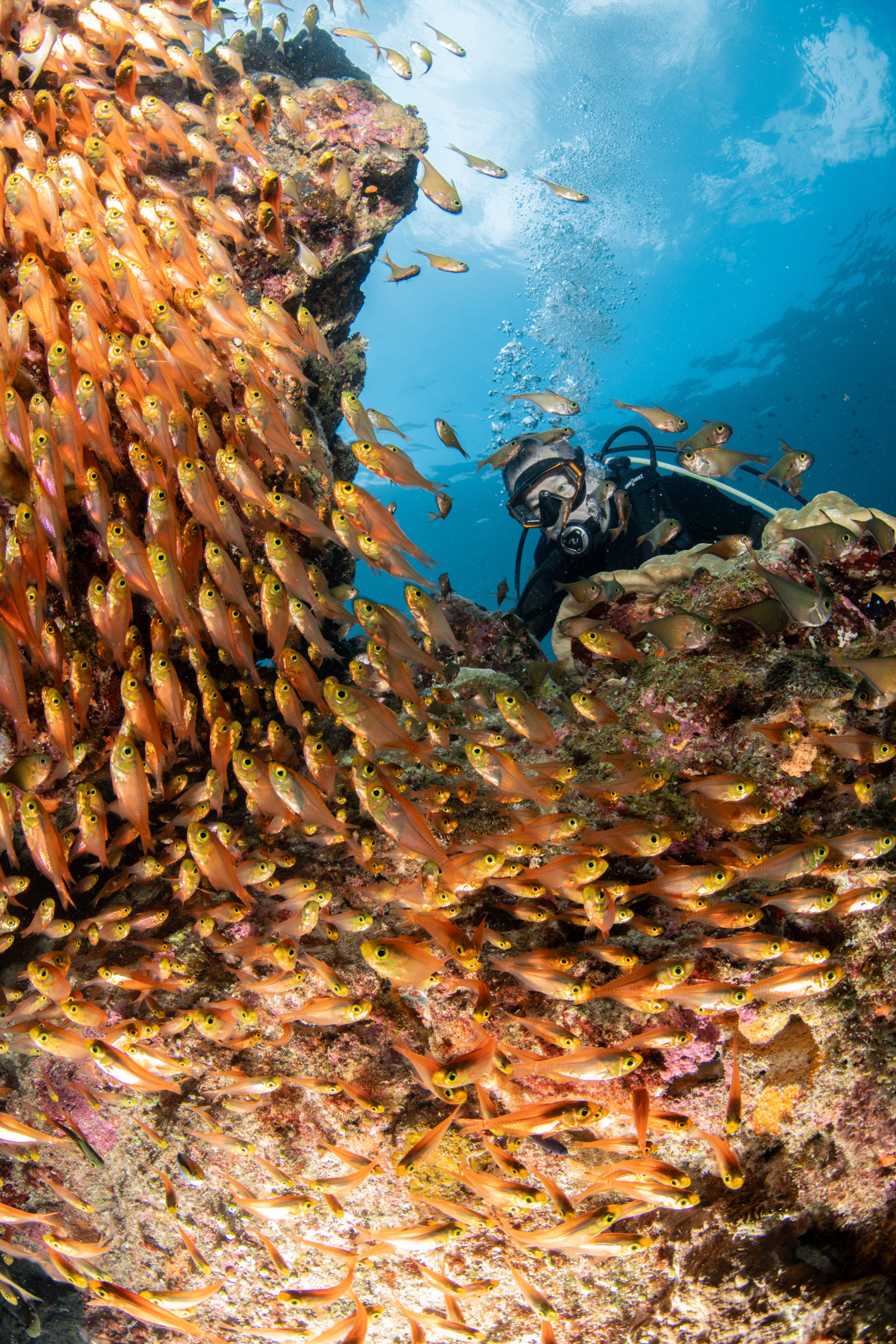 ９月１２日水納島・瀬底島ファンダイビング