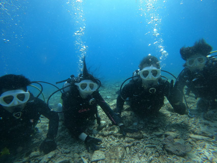 ９月３日水納島・瀬底島体験ダイビング