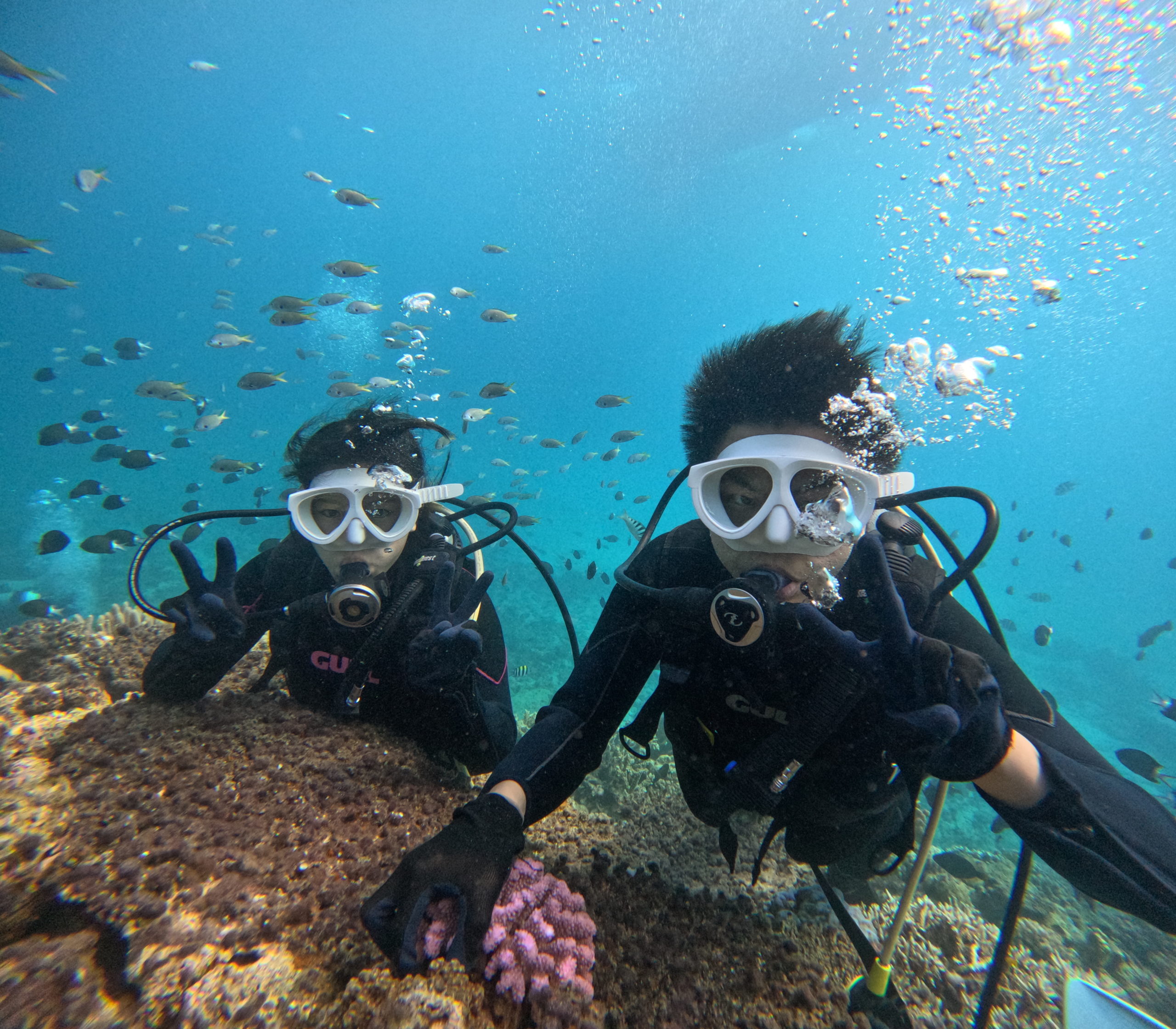 ９月２１日　水納島・瀬底島体験ダイビング