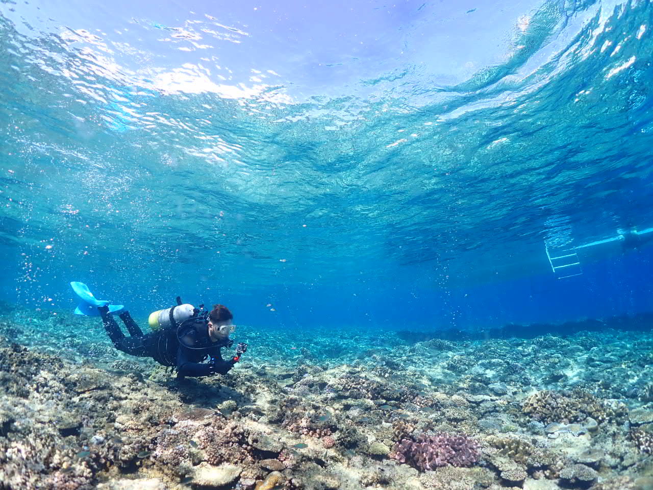 ９月１５日　伊江島ファンダイビング