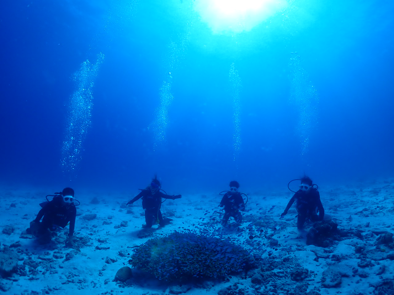 ９月２６日　水納島・瀬底島ファンダイビング