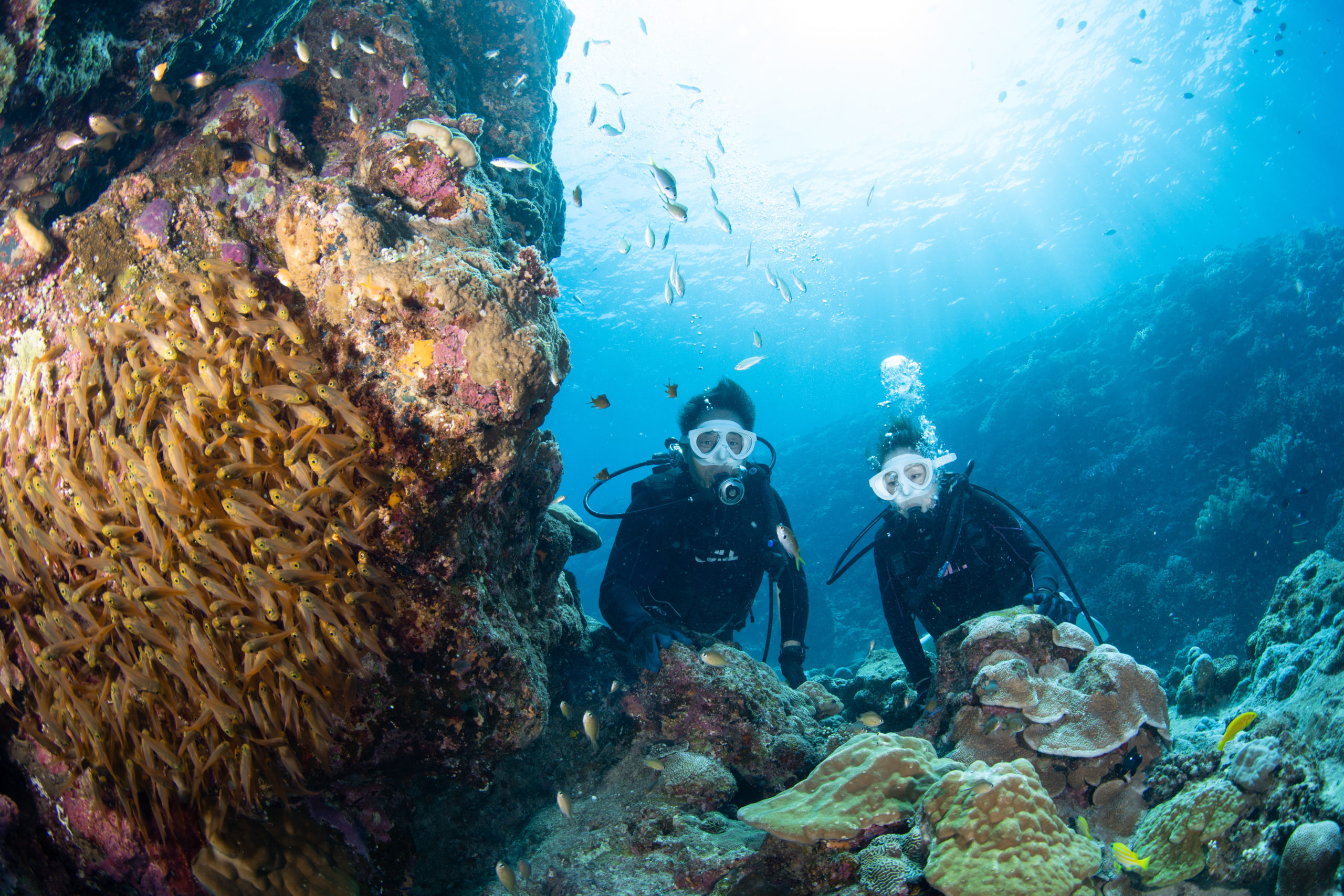 １０月１日　瀬底島・水納島ファンダイビング