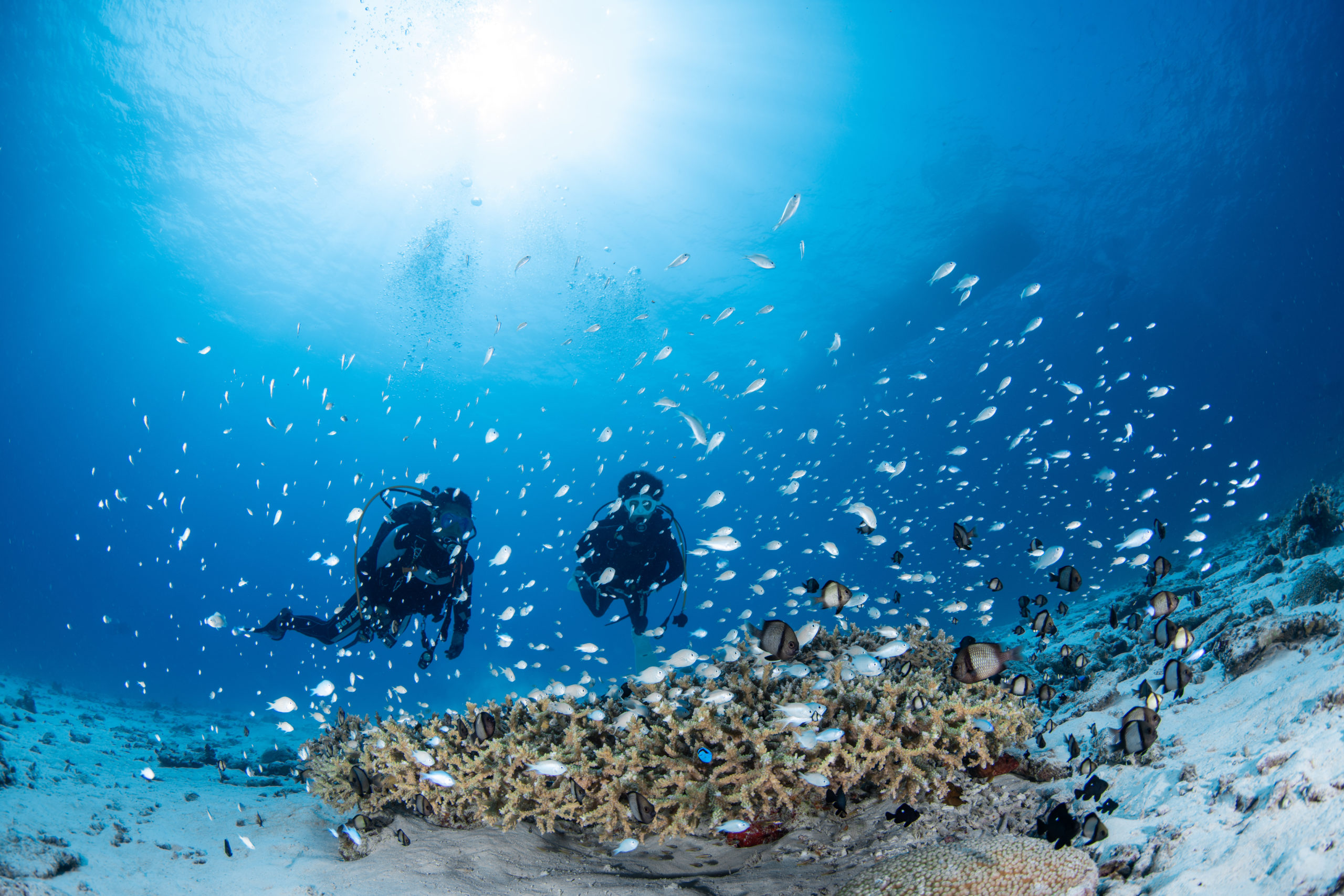 １０月１２日　水納島ファンダイビング