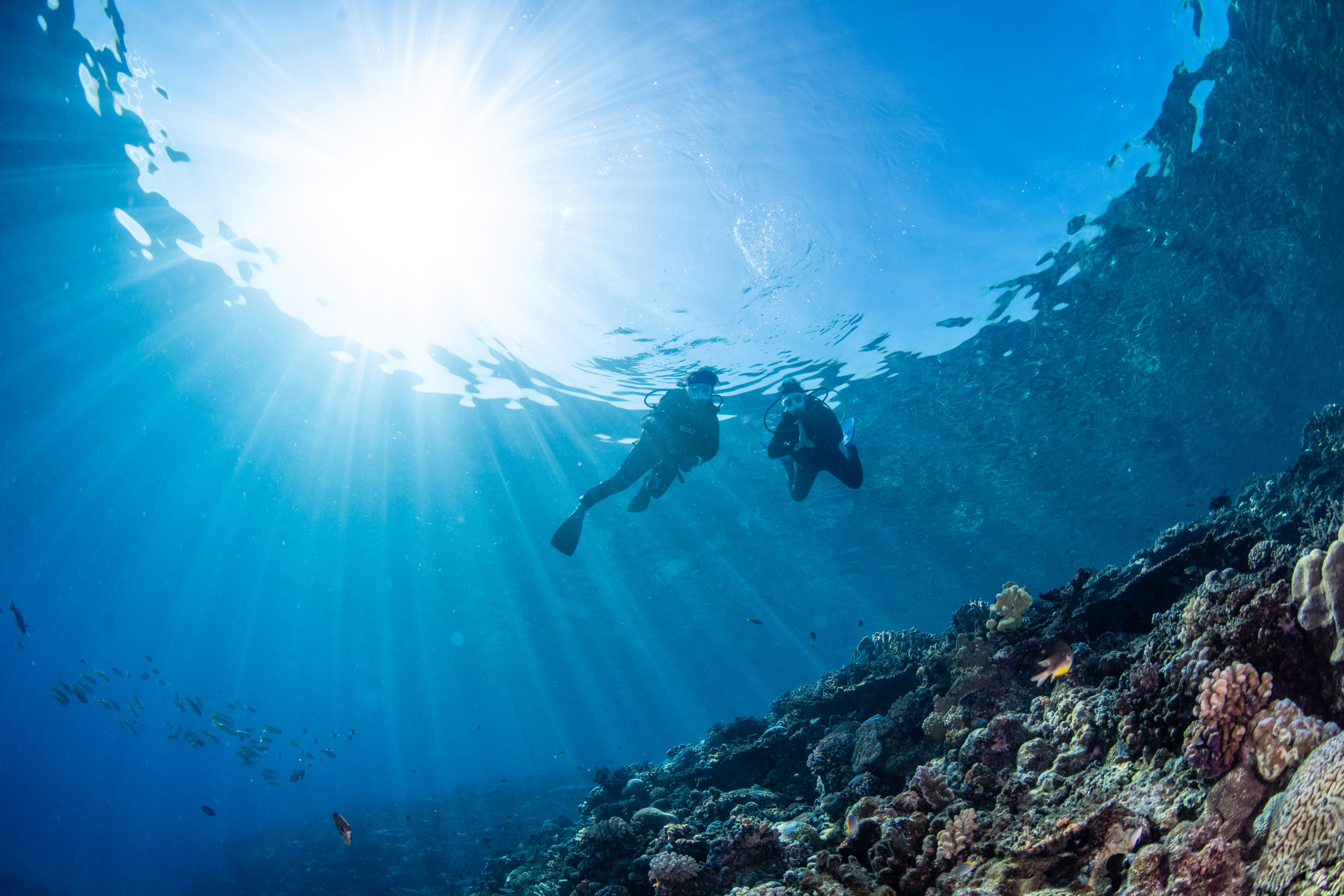 １０月１６日　水納島・瀬底島ファンダイビング