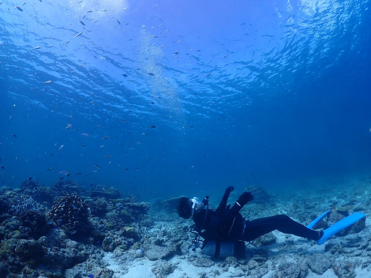 １０月１日　水納島体験ダイビング