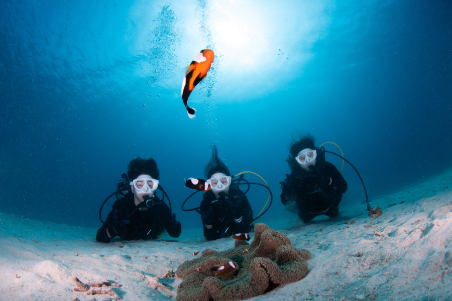 １１月２６日　崎本部体験ダイビング