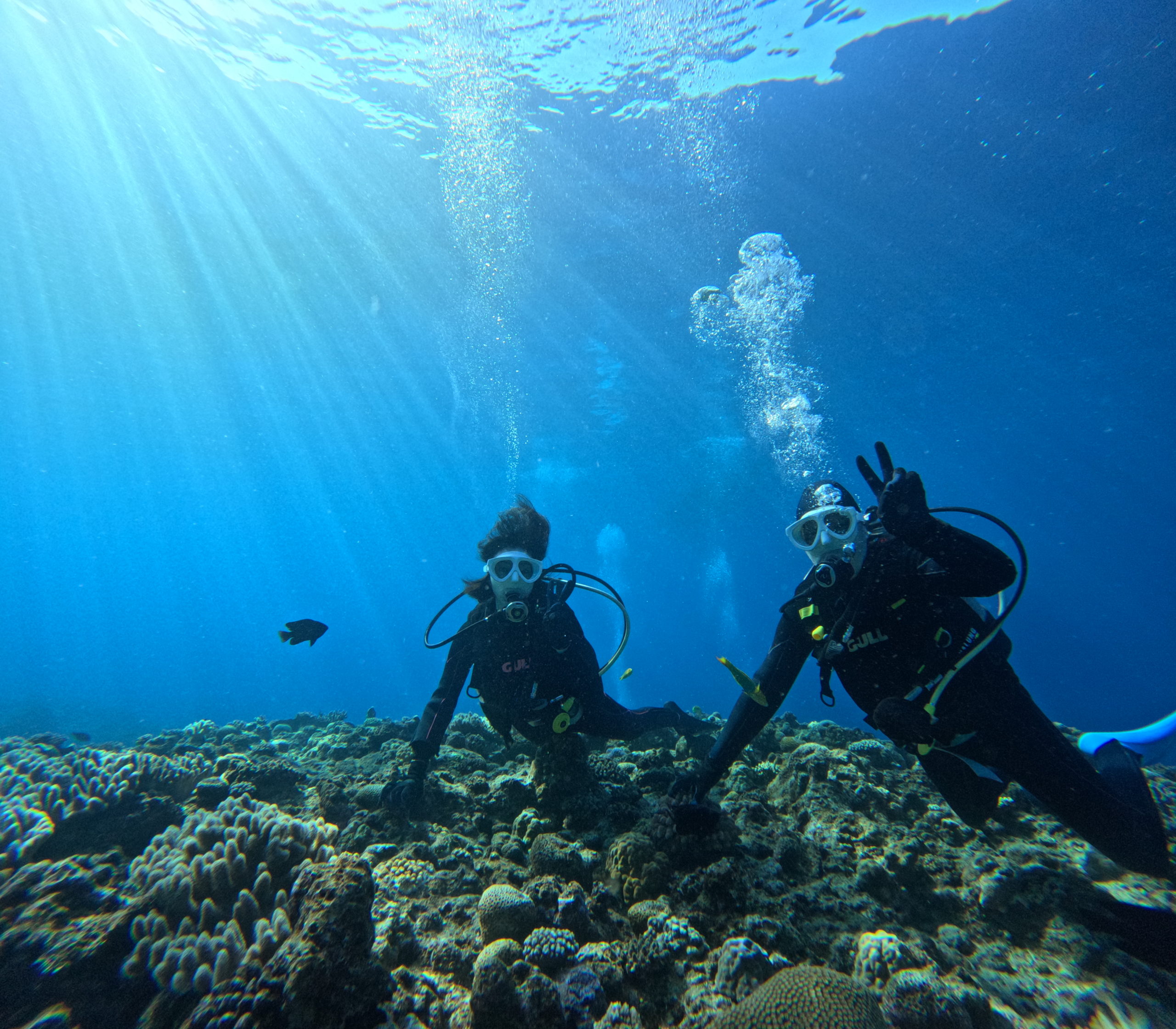 １１月８日　瀬底島・崎本部体験ダイビング