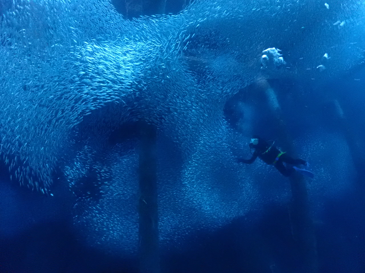 １１月５日　沖縄北部ライセンス講習