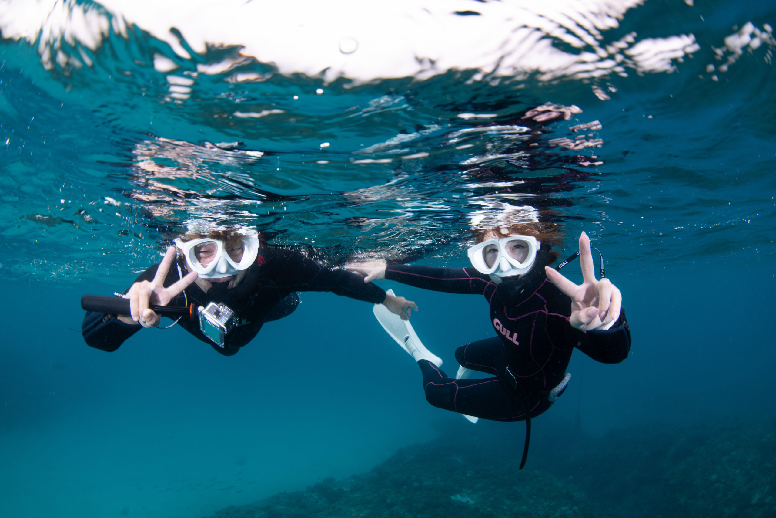 １２月１９日　ゴリラチョップスキンダイビング