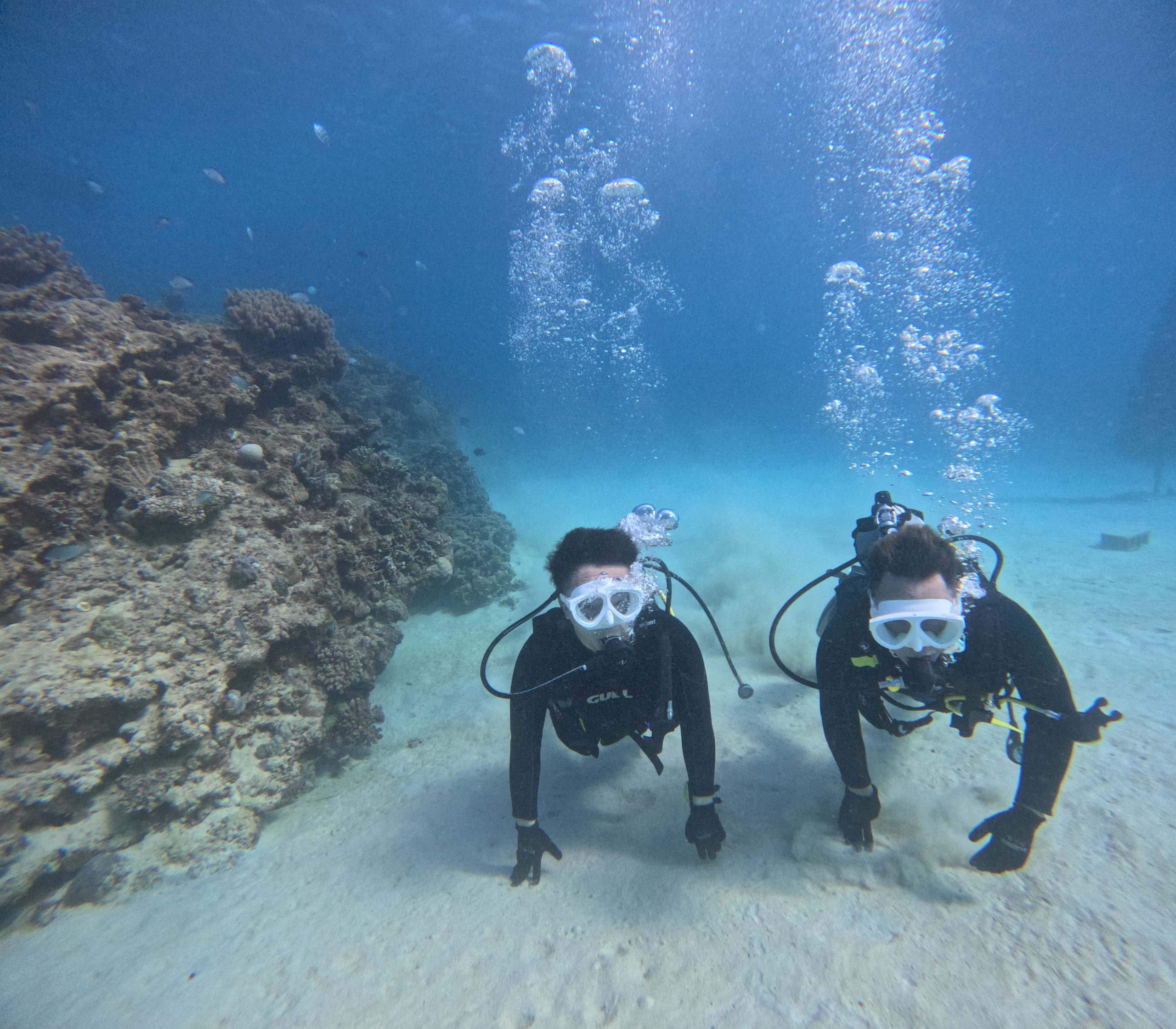 １２月９日　ゴリラチョップビーチ体験ダイビング