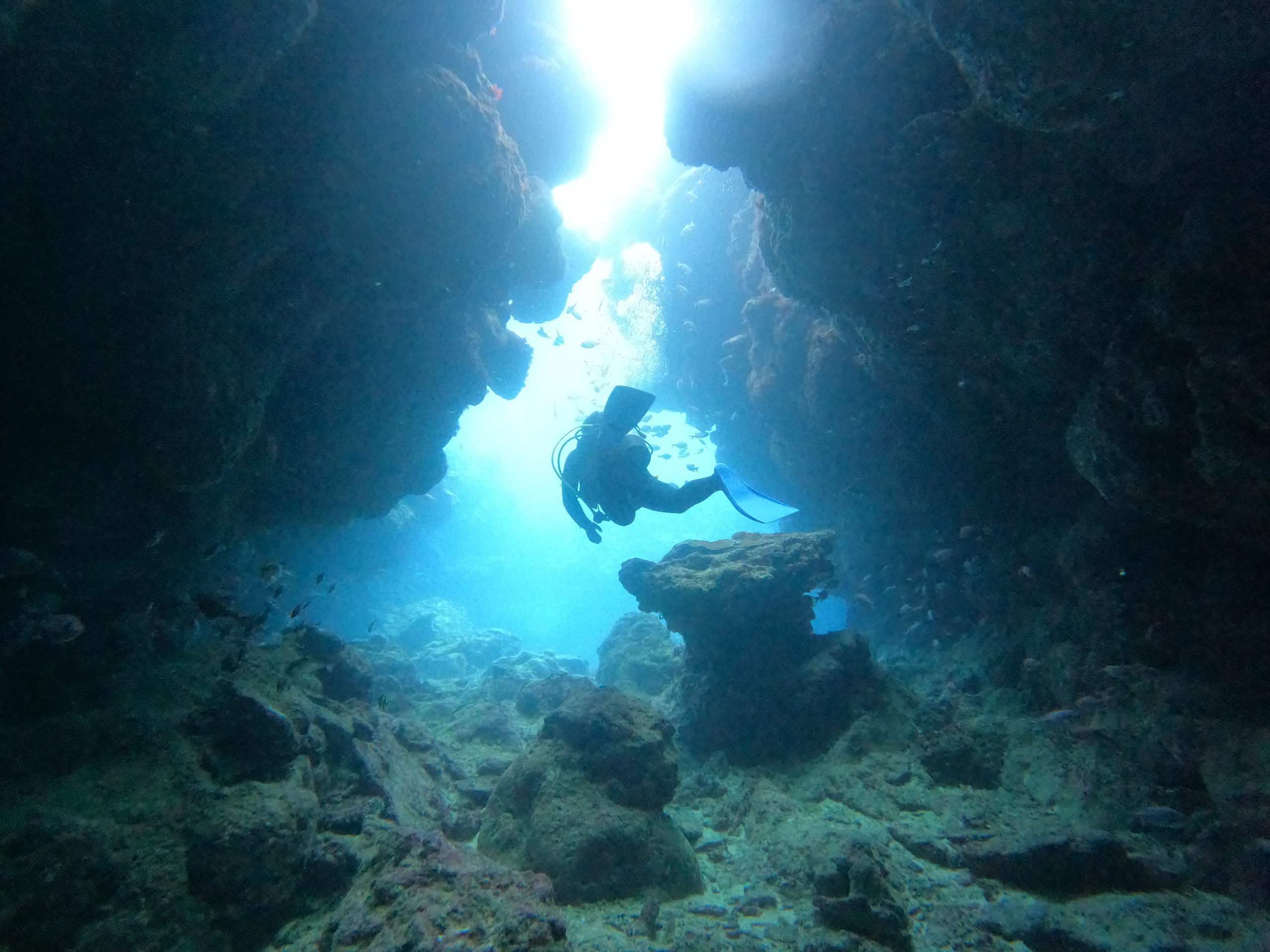 １２月７日　瀬底島・崎本部ファンダイビング