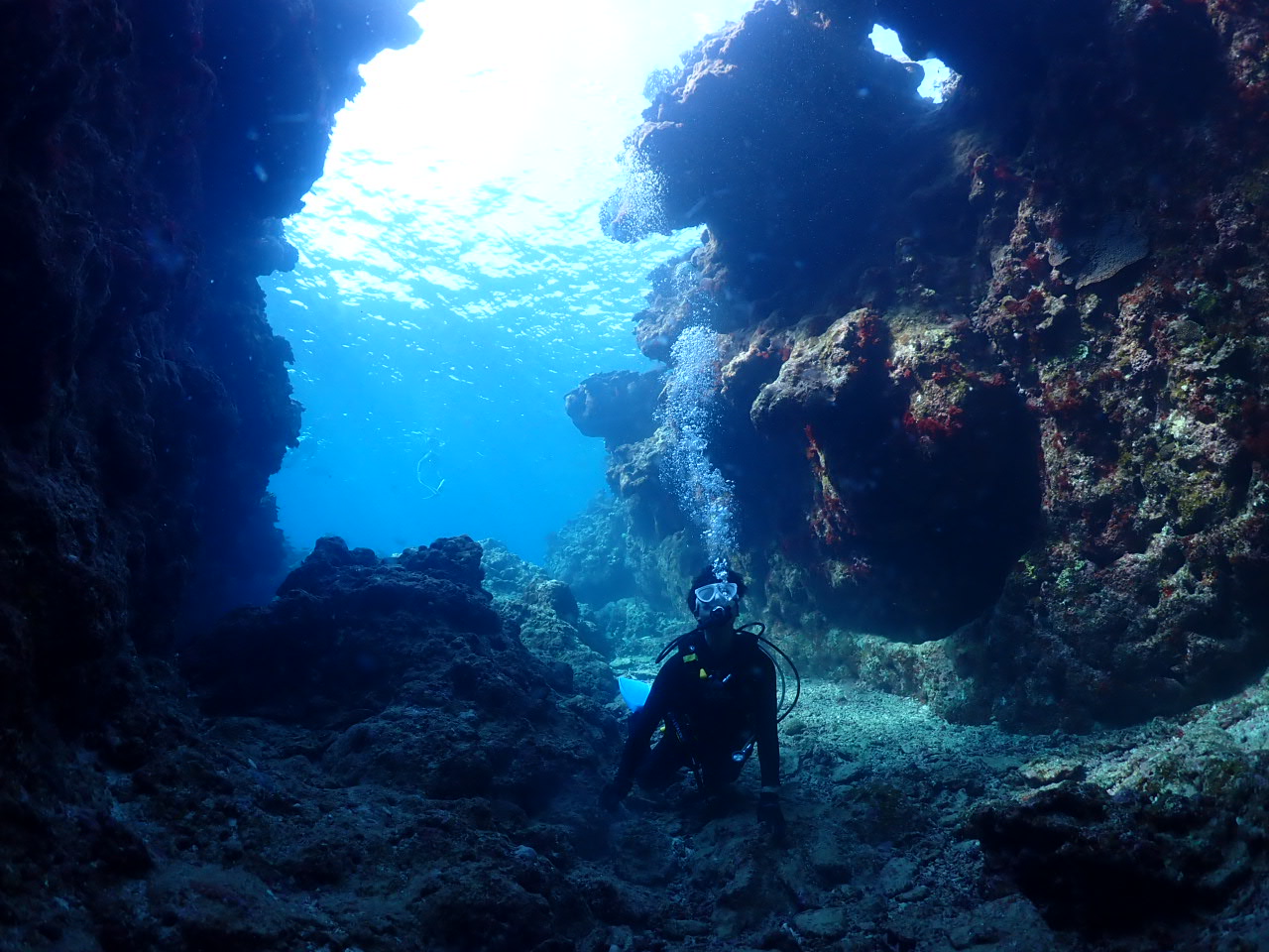 １２月１８日　瀬底島・崎本部体験ダイビング