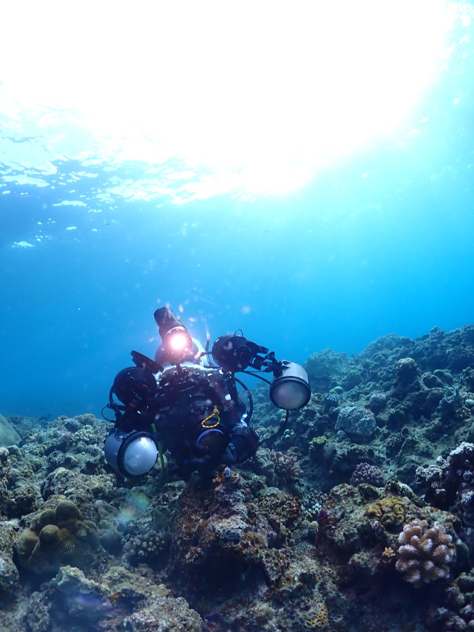 １２月２７日 瀬底島・崎本部ファンダイビング