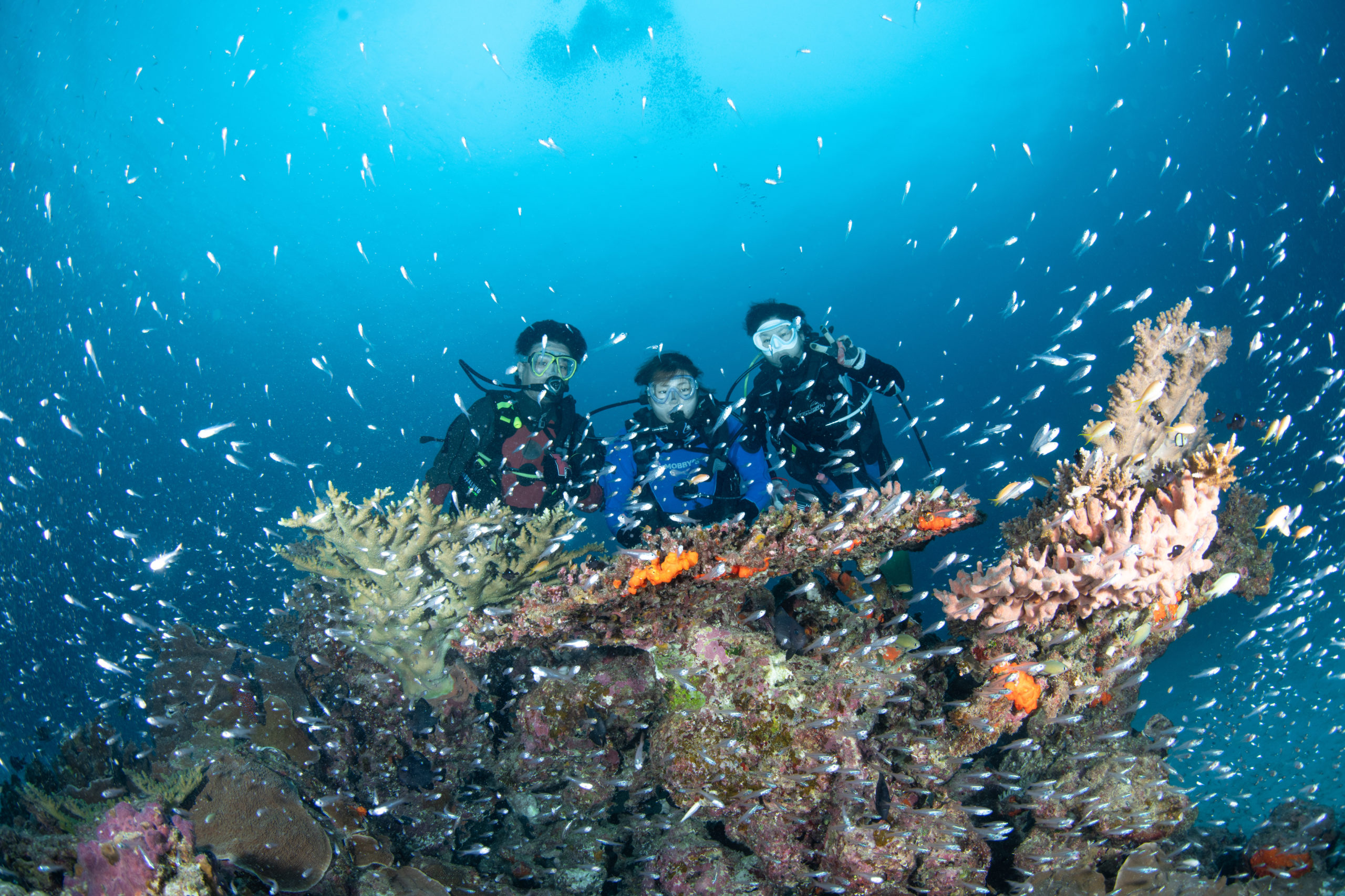 １２月３０日　伊江島ファンダイビング