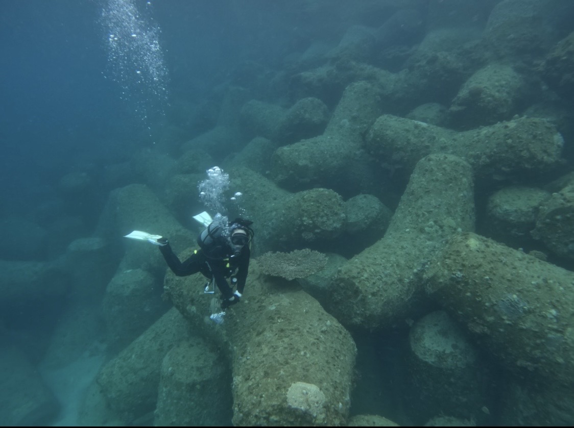 １月１７日　ビーチファンダイビング