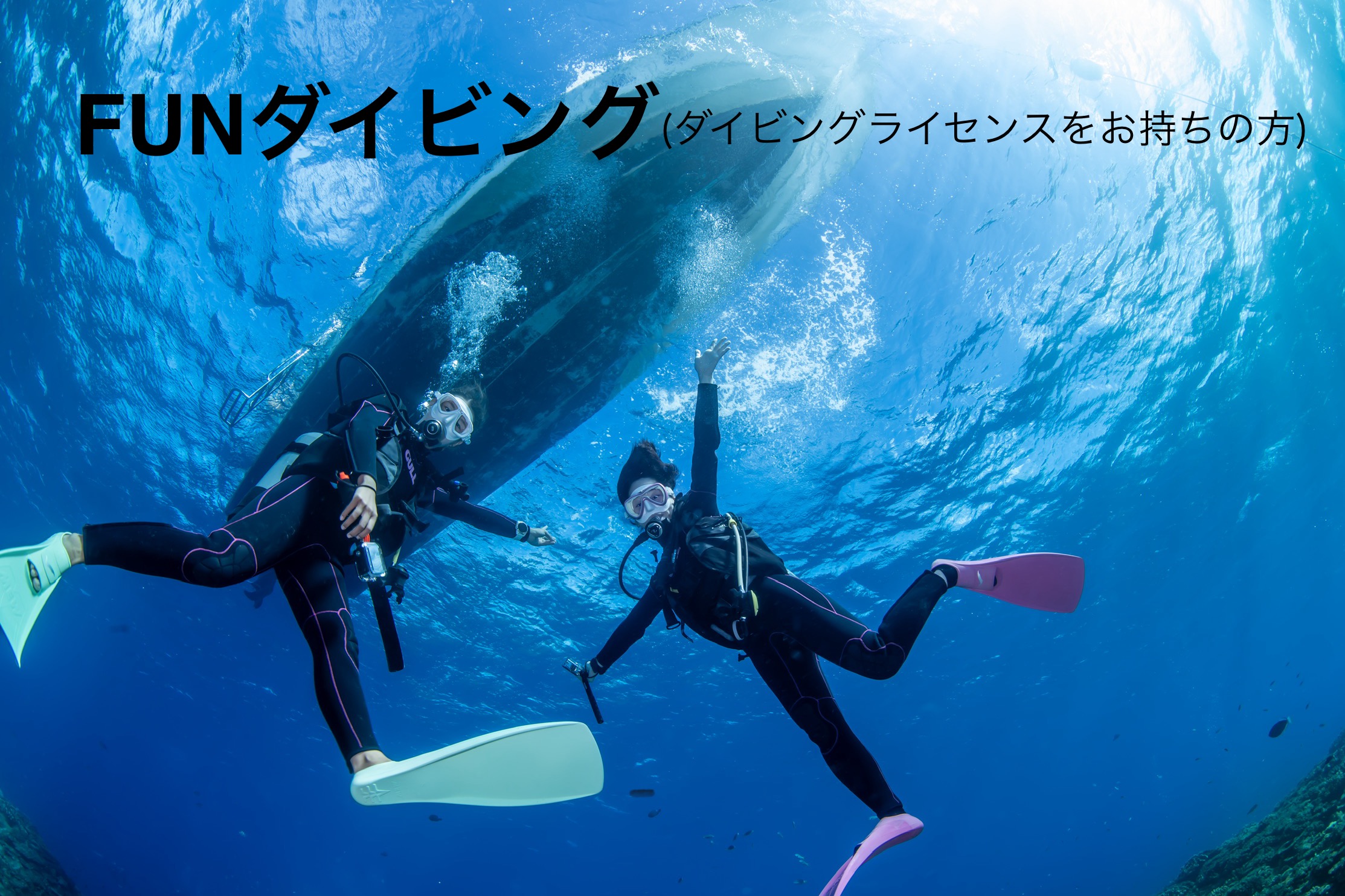 FUNダイビング(ダイビングライセンス所持者)