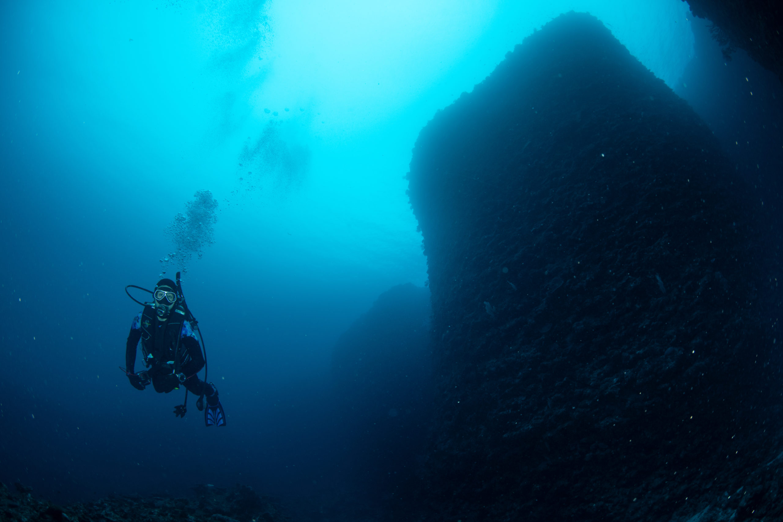 ２月１５日　伊江島ファンダイビング