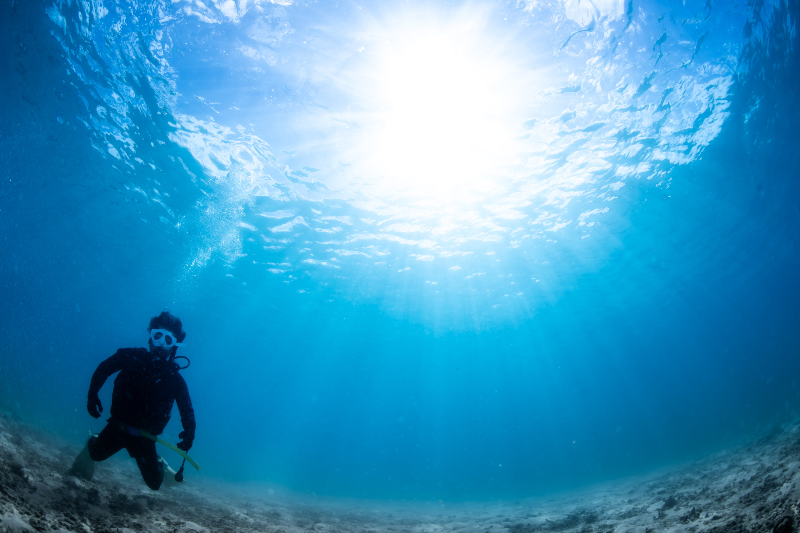 ２月２４日　オープンウォーター講習