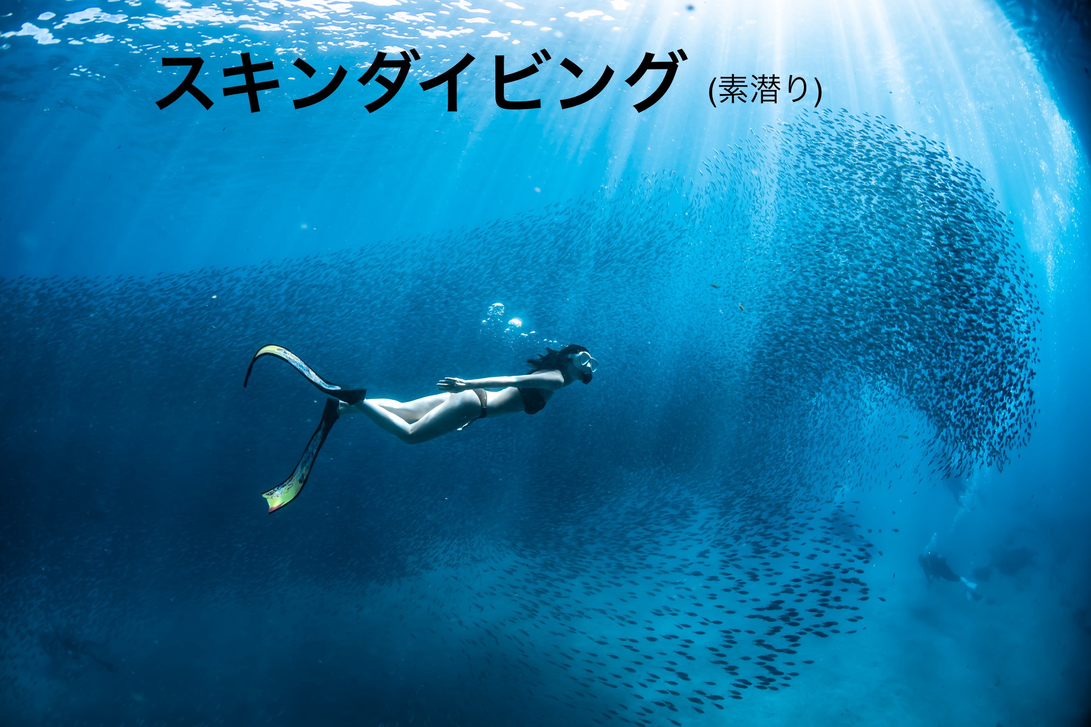 スキンダイビング　水納島・瀬底島・ゴリラチョップ