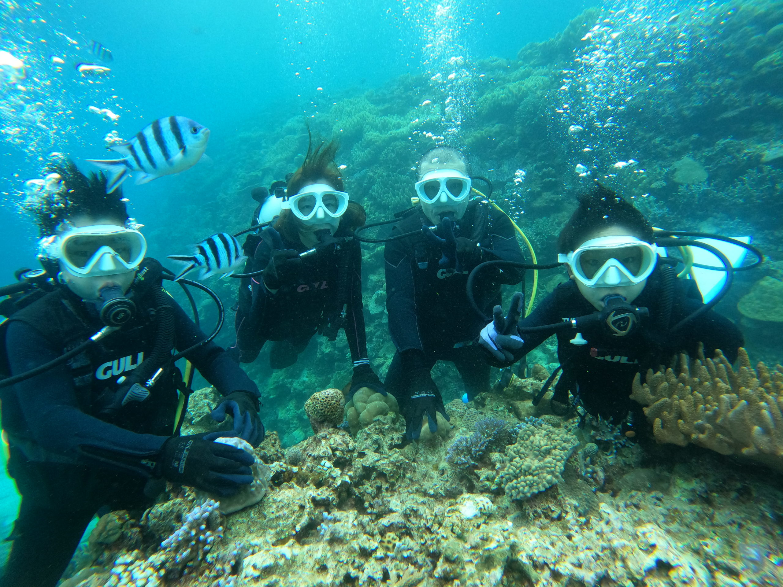 3月30日 瀬底島 ボート体験ダイビング