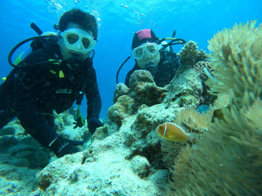 3月18日 水納島・瀬底島 ファンダイビング