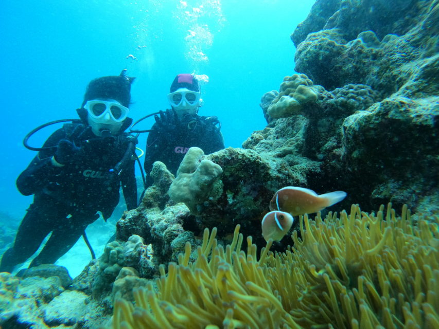 ３月２３日　水納島・瀬底島　ボート体験ダイビング