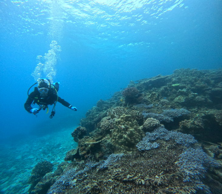 3月23日 水納島・瀬底島ボートファンダイビング