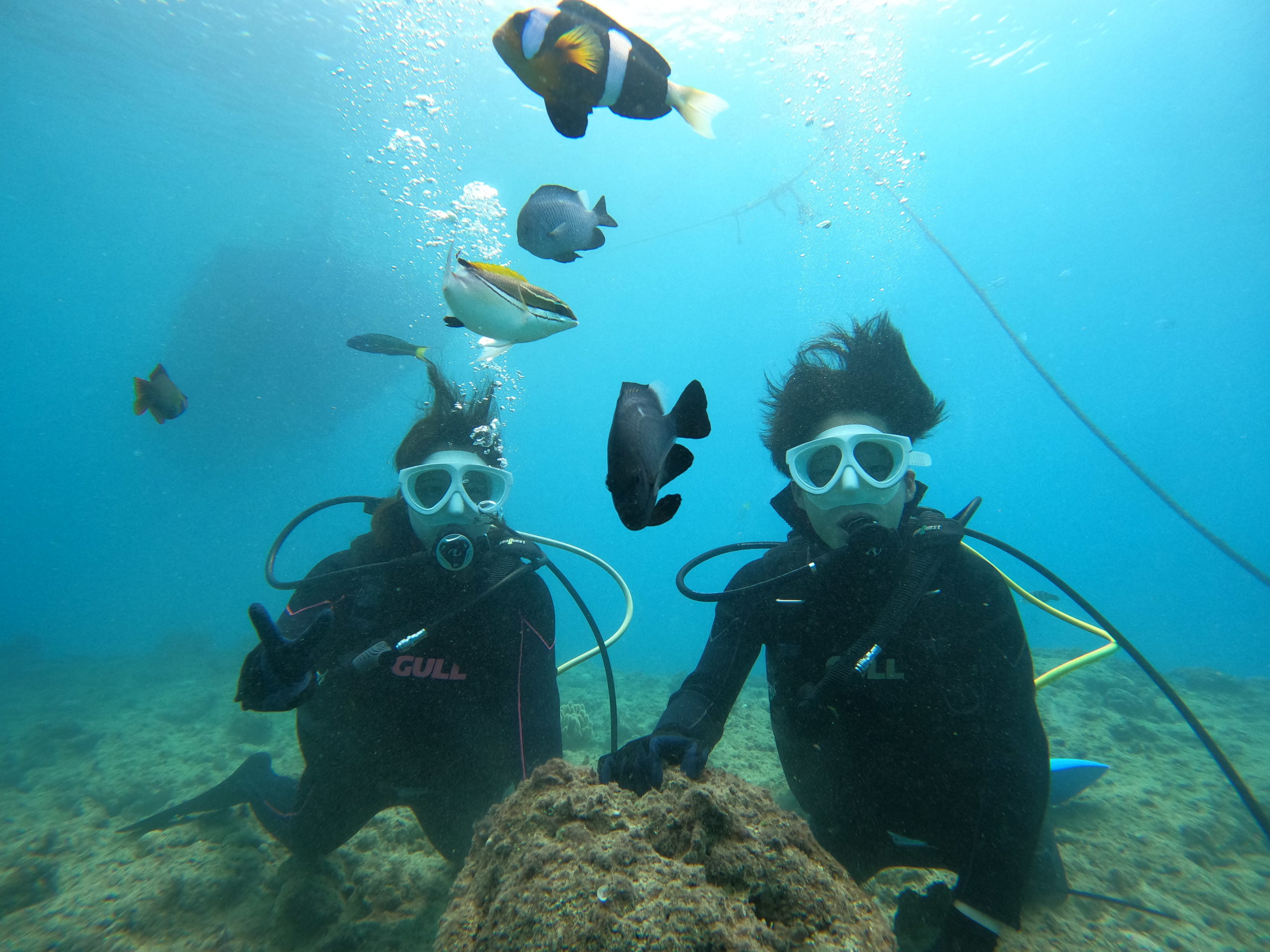 4月11日 本部近海 ボート体験ダイビング